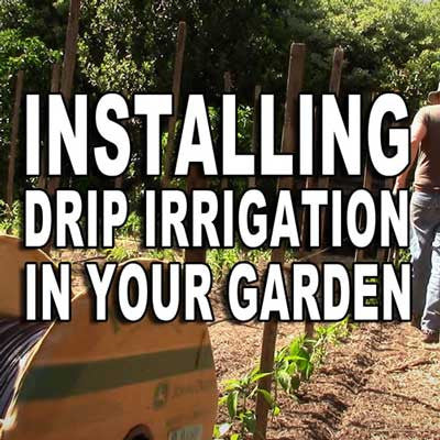 Installing Drip Irrigation in Your Garden