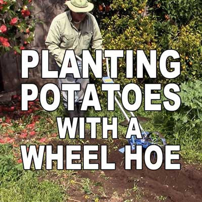 How To Plant Potatoes with a Valley Oak Wheel Hoe