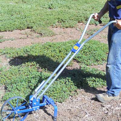 Removing Your Lawn to Grow Food