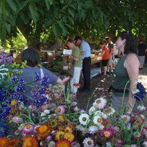 Gardening Tips with Lee Callendar