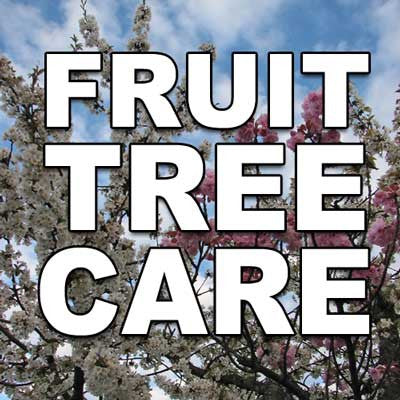 Fruit Tree Care