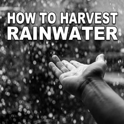 How to Harvest Rainwater